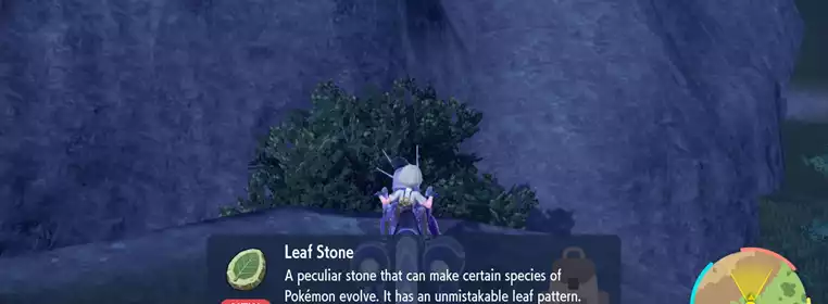 How to get a Leaf Stone in Pokemon Scarlet and Violet