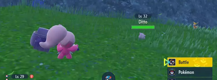 Catch Ditto & Zorua in Pokemon Scarlet and Violet with these tips