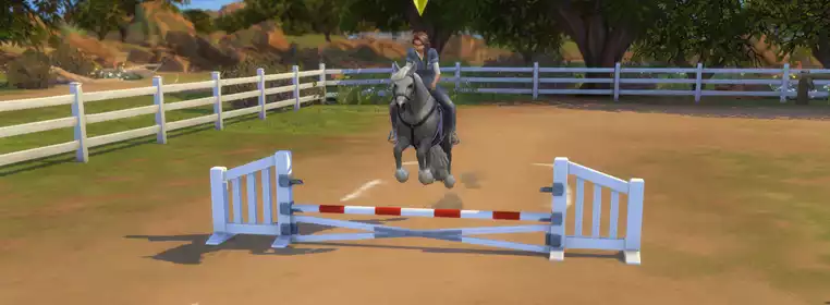 How to train horses in The Sims 4 Horse Ranch