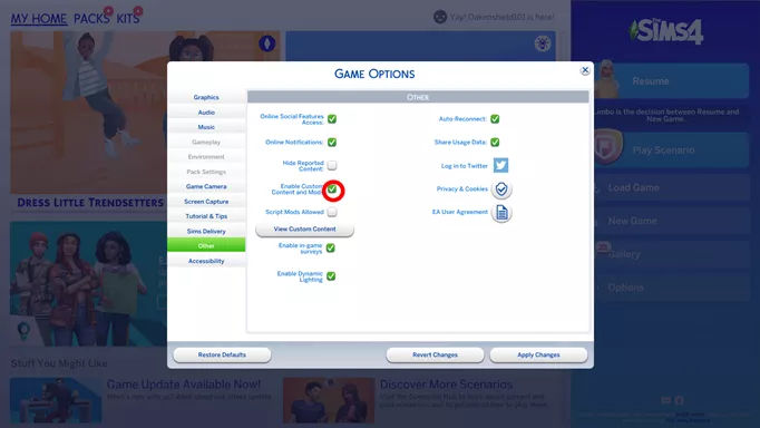 Screenshot showing how to enable mods in The Sims 4