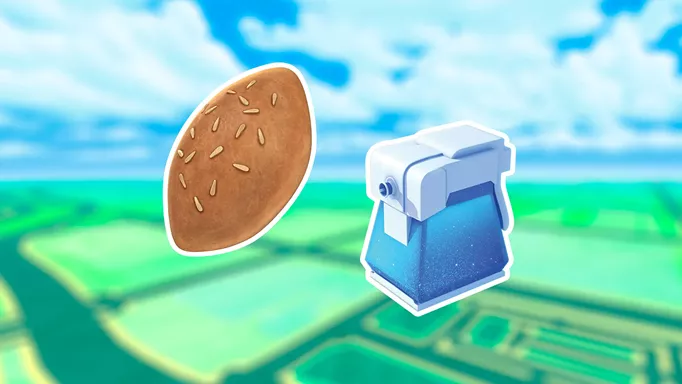 A Poffin and a Max Potion in Pokemon GO